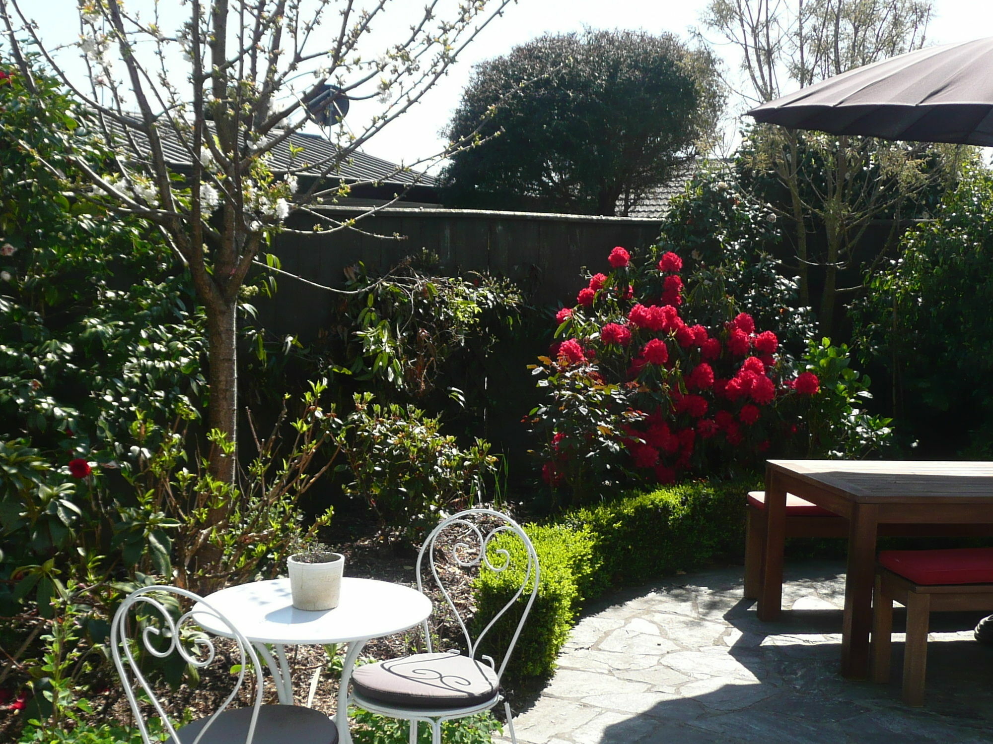 Bed and Breakfast Kershaw House Richmond Exterior foto